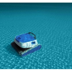Poolroboter Dolphin Energy 200 CB Poolreiniger Automatischer  für Boden und Wand